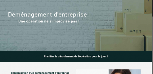 https://www.demenagement-entreprise.net